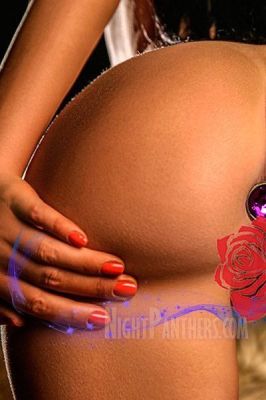 Profile of lebanon private escort on sexobeirut.com