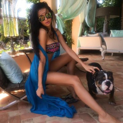 Domination escorts in lebanon for BDSM 24 7